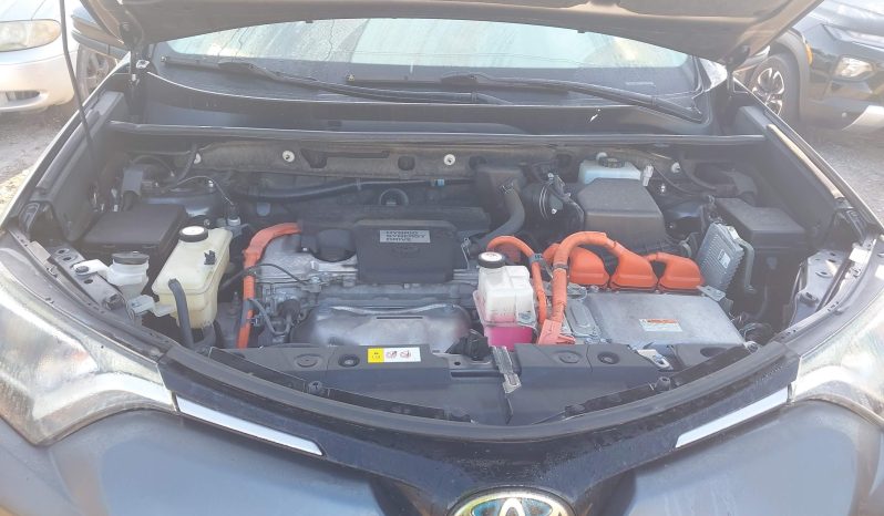 
								Toyota RAV4 full									