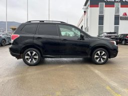 
										Subaru Forester full									