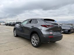 
										MAZDA CX-30 full									