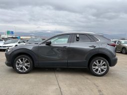 
										MAZDA CX-30 full									