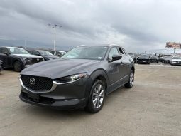 
										MAZDA CX-30 full									