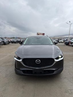 
										MAZDA CX-30 full									