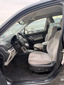 
										Subaru Forester full									