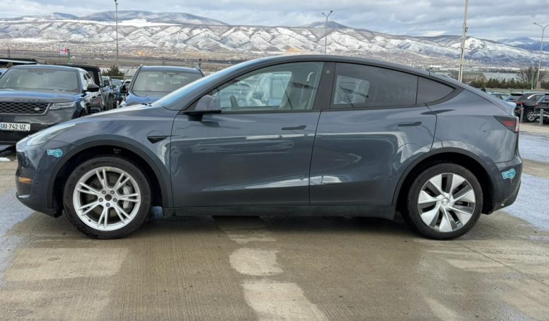 
								Tesla MODEL Y full									