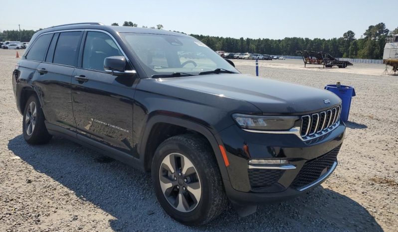 amerikis avto auqcioni