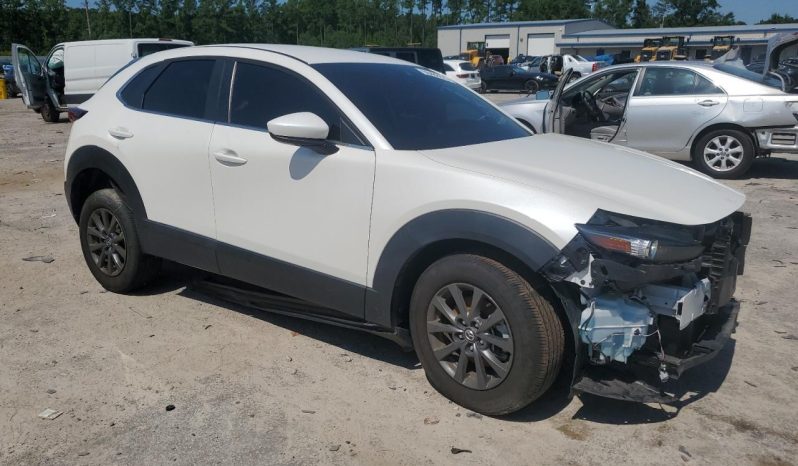 amerikis avto auqcioni