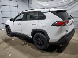 
										Toyota RAV4 full									
