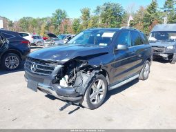 
										Mercedes-Benz ML 350 full									