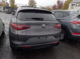 
										ALFA ROMEO STELVIO full									