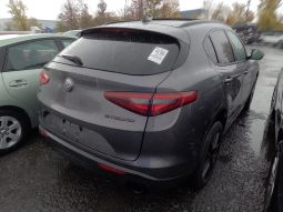
										ALFA ROMEO STELVIO full									