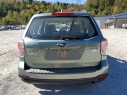 
										Subaru Forester full									