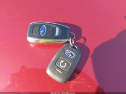 
										Subaru Forester full									