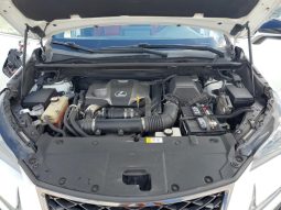 
										LEXUS NX 300 full									