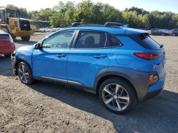 
										Hyundai Kona full									