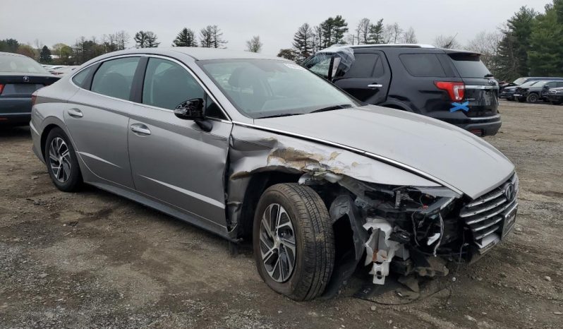 avto auqcioni amerika