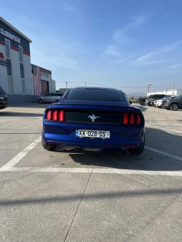 
										FORD MUSTANG full									