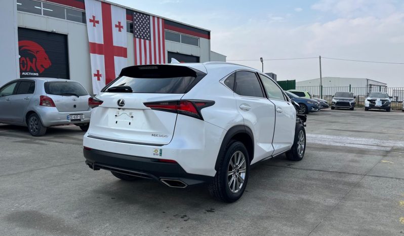 
								LEXUS NX300 full									