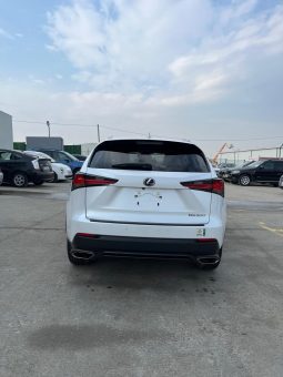 
										LEXUS NX300 full									