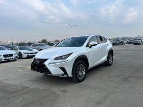 LEXUS NX300