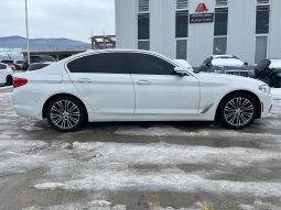 
										BMW 530 full									