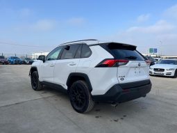 
										Toyota RAV4 full									