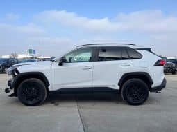 
										Toyota RAV4 full									