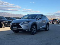 
										Lexus NX full									