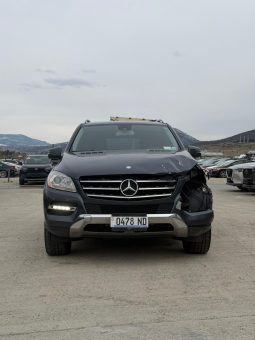 
										Mercedes-Benz ML 350 full									