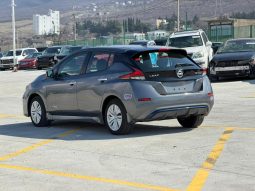 
										2019 Nissan Leaf full									