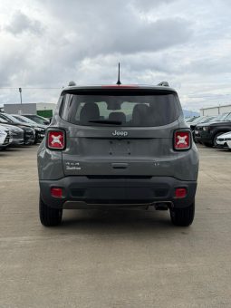 
										Jeep Renegade full									