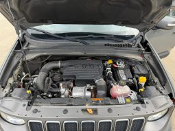 
										Jeep Renegade full									