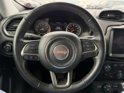 
										Jeep Renegade full									