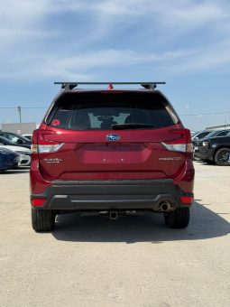 
										Subaru Forester full									