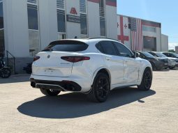 
										Alfa Romeo Stelvio Quadrifoglio full									