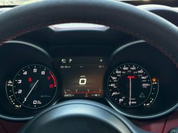 
										Alfa Romeo Stelvio Quadrifoglio full									