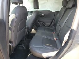 
										Jeep Renegade full									