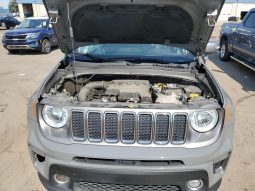 
										Jeep Renegade full									