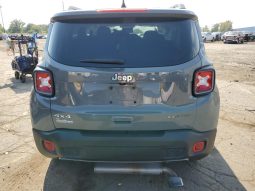 
										Jeep Renegade full									