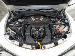 
										Alfa Romeo Stelvio Quadrifoglio full									