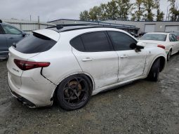 
										Alfa Romeo Stelvio Quadrifoglio full									