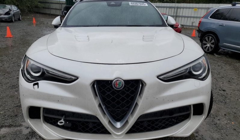 
								Alfa Romeo Stelvio Quadrifoglio full									