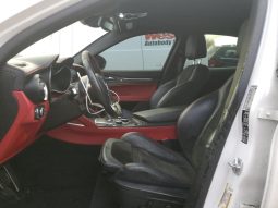 
										Alfa Romeo Stelvio Quadrifoglio full									