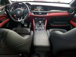 
										Alfa Romeo Stelvio Quadrifoglio full									