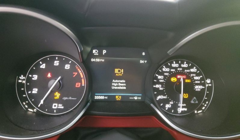 
								Alfa Romeo Stelvio Quadrifoglio full									