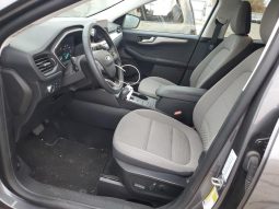 
										Ford Escape full									