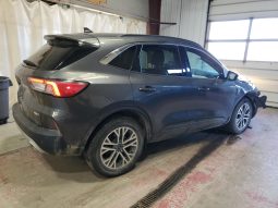 
										Ford Escape full									