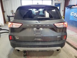 
										Ford Escape full									