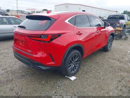 
										LEXUS NX 350H full									
