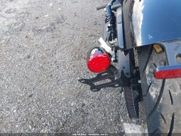 
										2023 Indian Scout Rogue Sixty full									