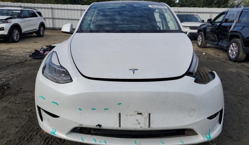 
								Tesla MODEL Y full									
